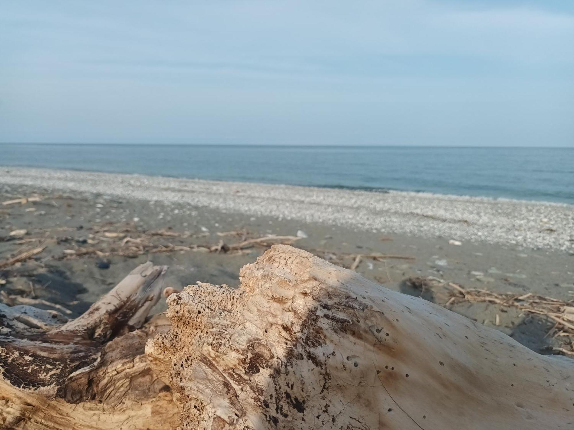 Velika Beach Rooms Экстерьер фото